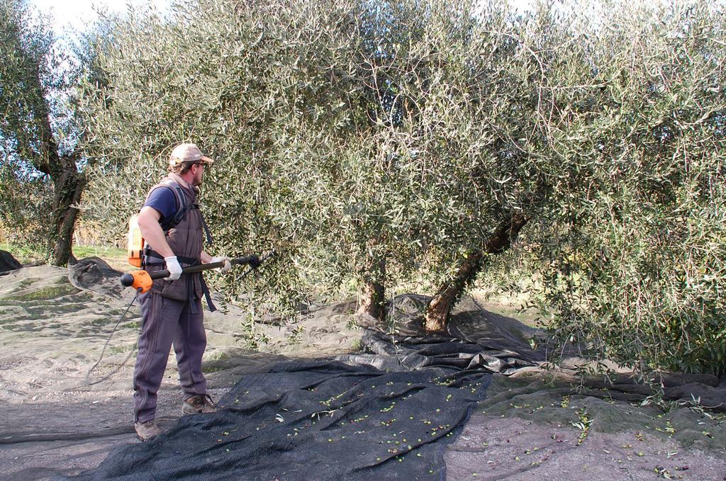 Due Piani Villa Barberino di Val dʼElsa Екстериор снимка