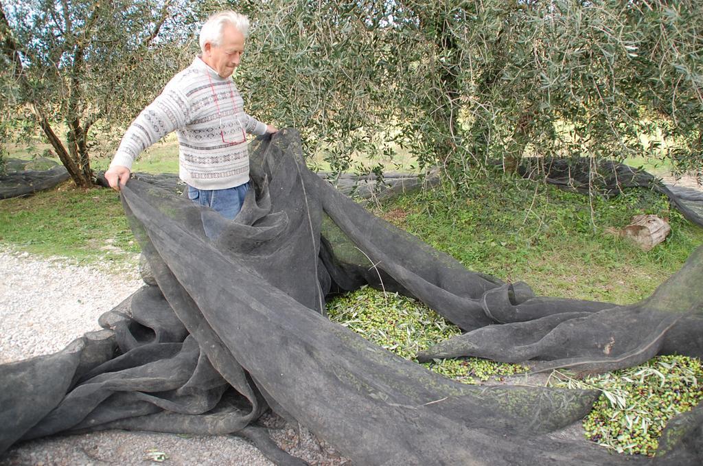Due Piani Villa Barberino di Val dʼElsa Екстериор снимка